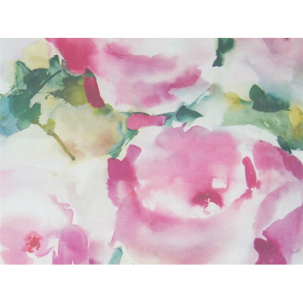 Image of rosa peony by Voyage