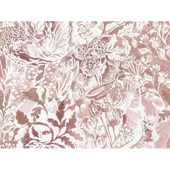 Image of rothesay coral by Voyage