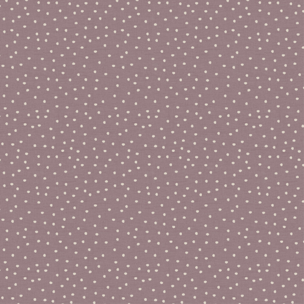 Image of spotty acanthus by Voyage