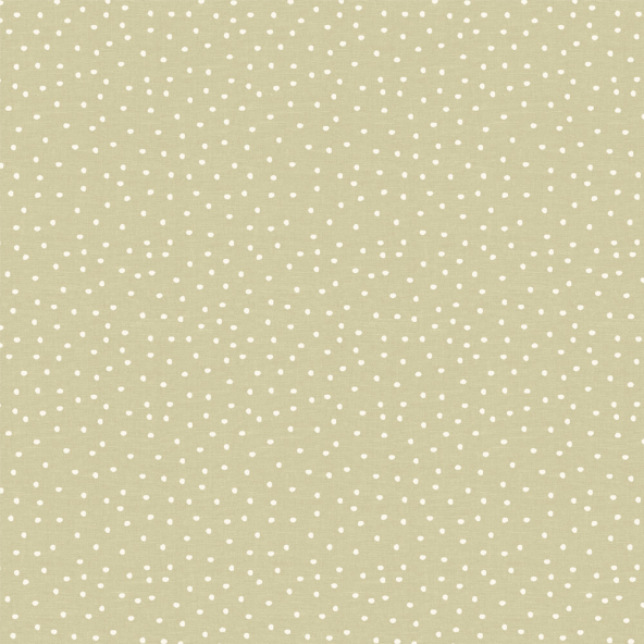 Image of spotty willow by Voyage