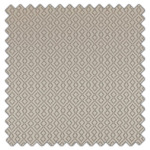 Swatch of Draco Champagne by Ashley Wilde