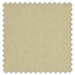 Swatch of Asana Pistachio by iLiv