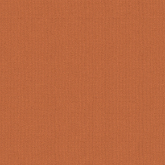 Bravo Coral Blackout Fabric Sample