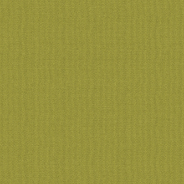 Bravo Zest Blackout Fabris Sample