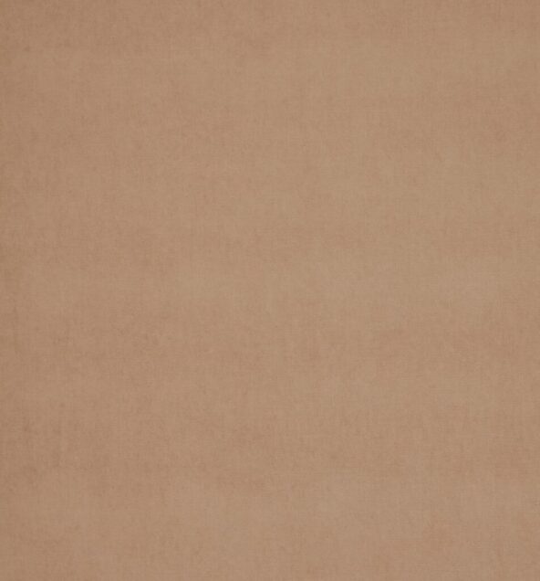 Arezzo Plaster Fabric by Ashley Wilde