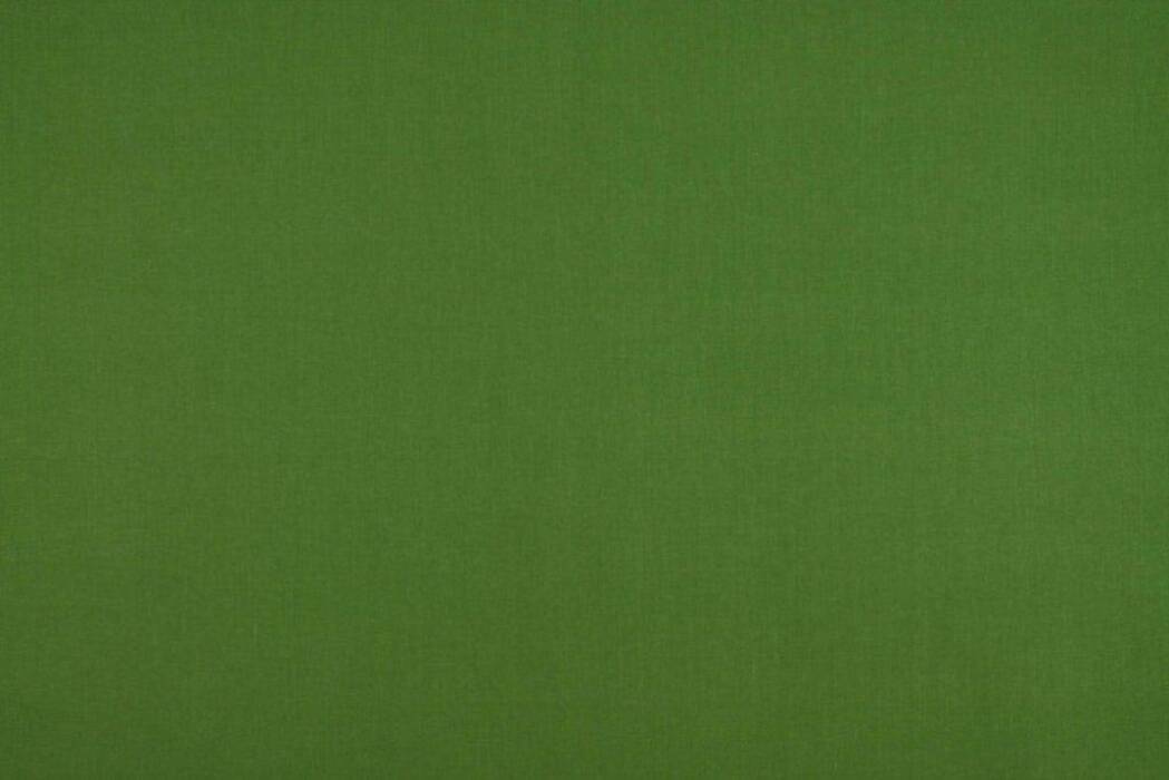 Cole Fern Fabric by Ashley Wilde