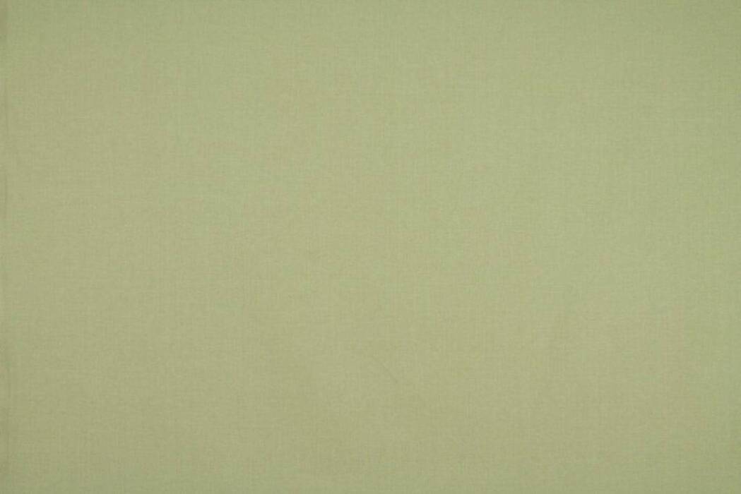 Cole Pistachio Fabric by Ashley Wilde