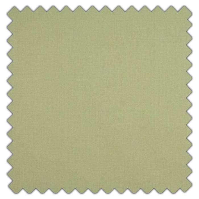 Swatch of Cole Pistachio by Ashley Wilde