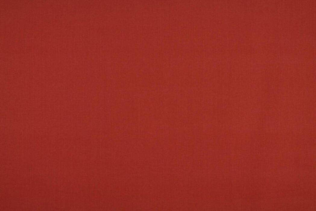 Cole Strawberry Fabric by Ashley Wilde