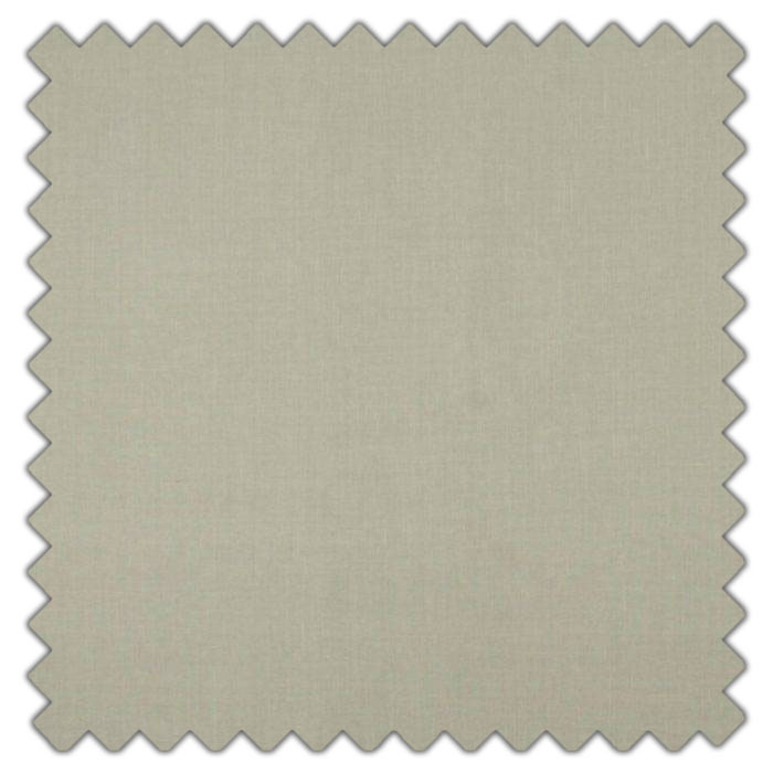 Swatch of Cole Willow by Ashley Wilde