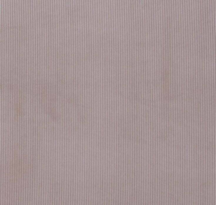 Lucio Shell Fabric by Ashley Wilde