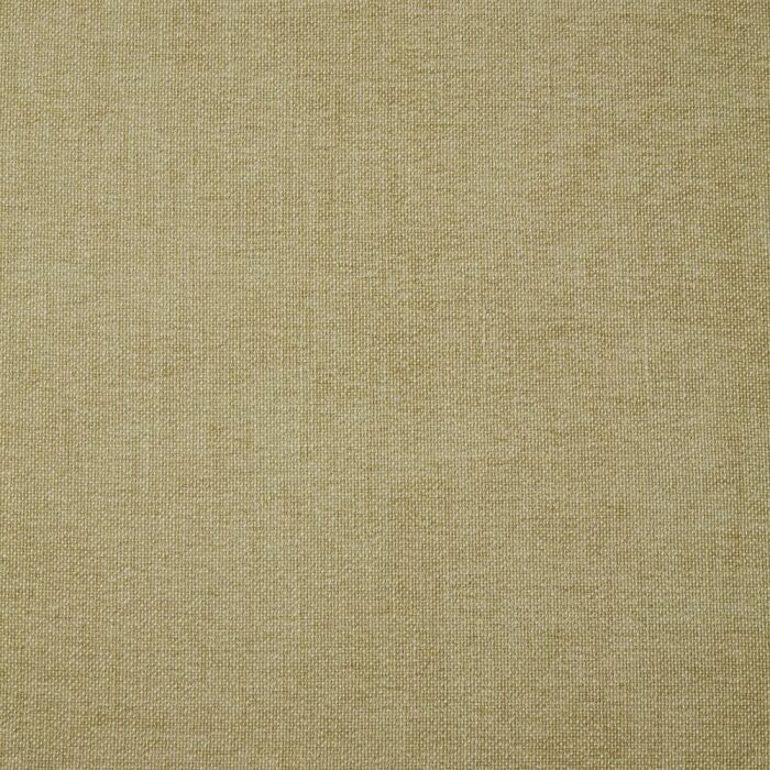 Seelay Pistachio Fabric by iLiv