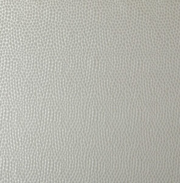 Taurus Platinum Fabric by Ashley Wilde