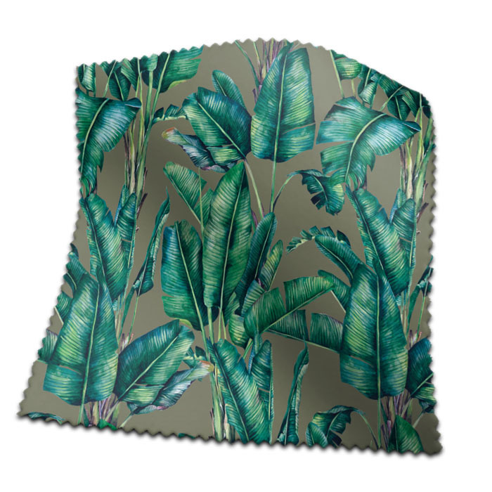 Swatch of Valdivian Dove by Chatham Glyn