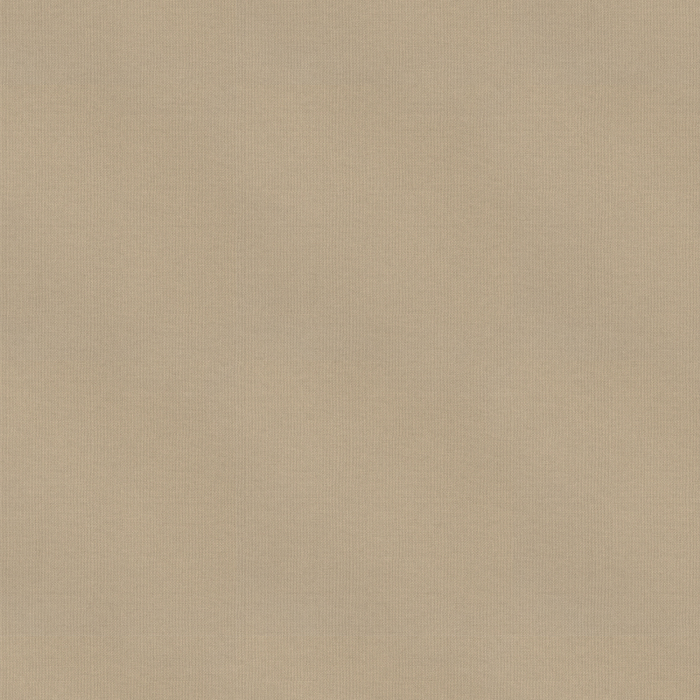 Ray Beige Fabric Sample