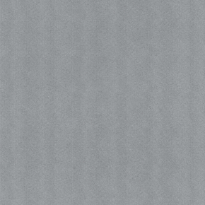 Ray Silver Fabric Sample