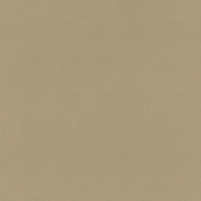 Ray Stone Fabric Sample