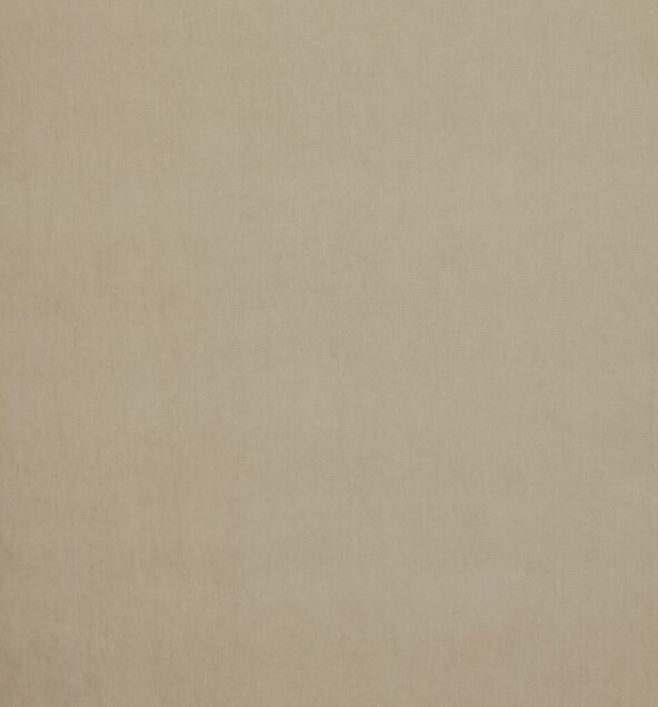 Arezzo Putty Fabric by Ashley Wilde