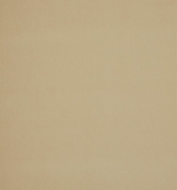 Arezzo Sand Fabric by Ashley Wilde