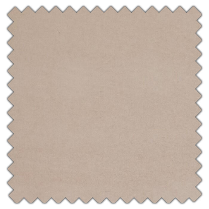 Swatch of Arezzo Shell by Ashley Wilde