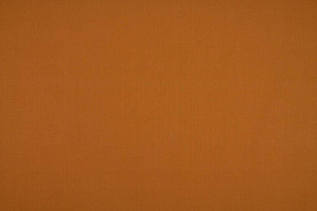 Cole Clementine Fabric by Ashley Wilde