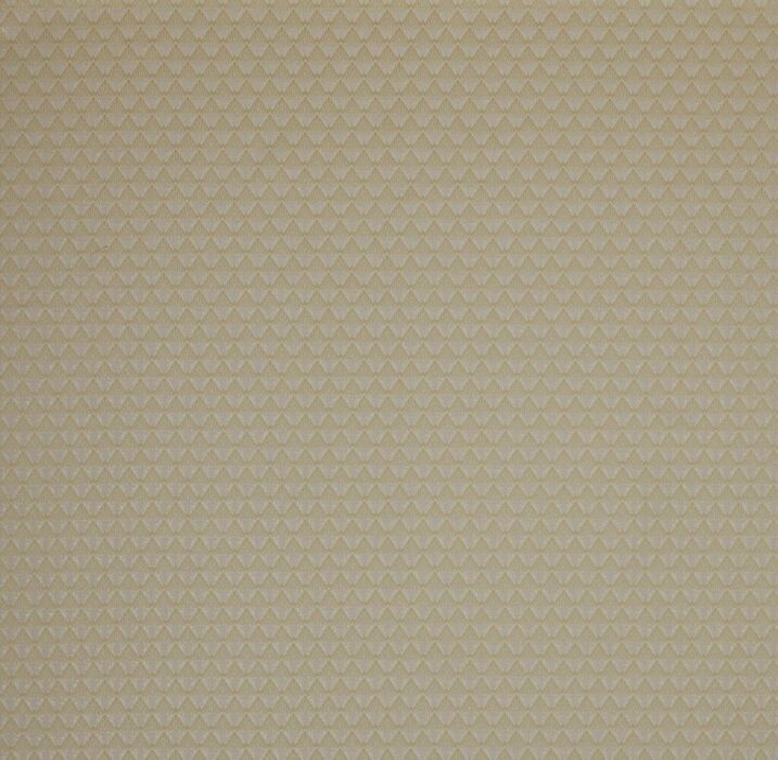 Poiret Champagne Fabric by Ashley Wilde