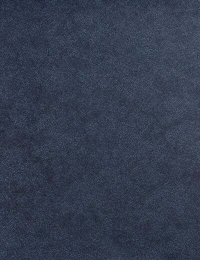Brightwell Blueprint Fabric
