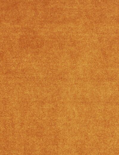 Camina Rust Fabric