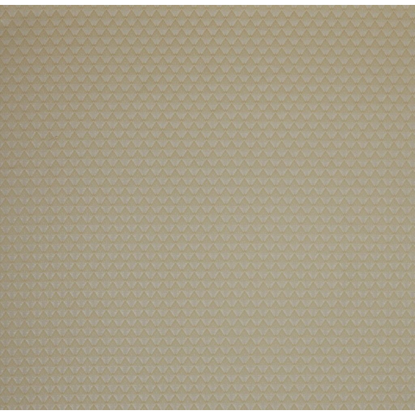 Poiret Champagne Fabric by Ashley Wilde