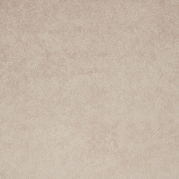 Brightwell Putty Fabric by iLiv