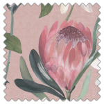 Swatch of Havana Blush by Belfield Home Swatch of Havana Blush by Belfield Home