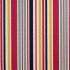 Roseland Stripe Carnival Fabric by Porter And Stone