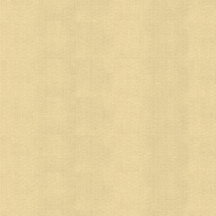 bravo-buff-blackout-roller-blind Fabric Sample