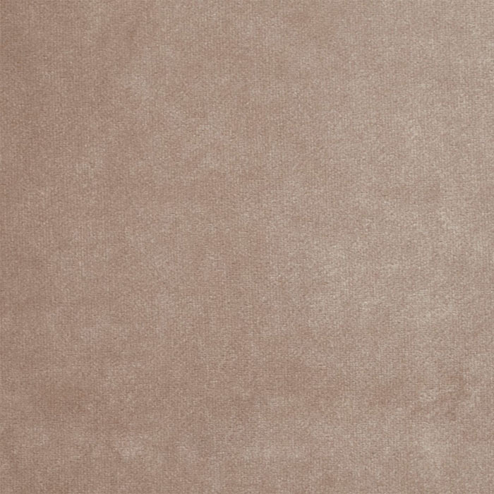 Eaton Square Shell Fabric by Bill Beaumont