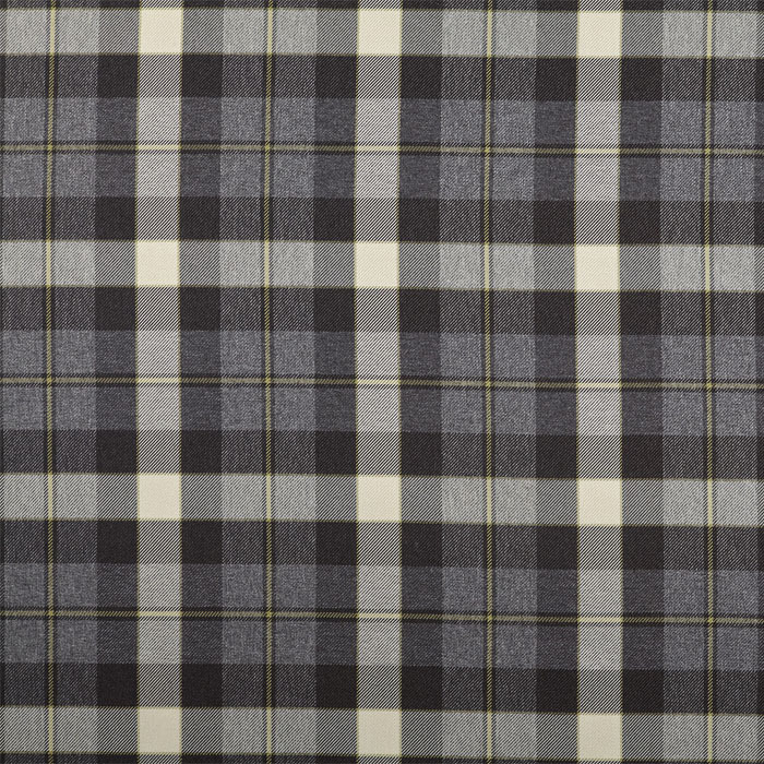 Fraser Charcoal Fabric by Bill Beaumont