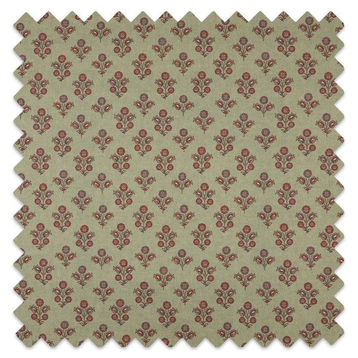 Swatch of Kochi Thyme