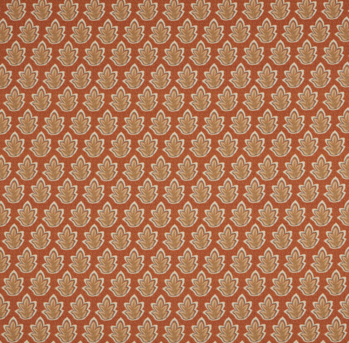 Roshni Papaya Fabric by iLiv