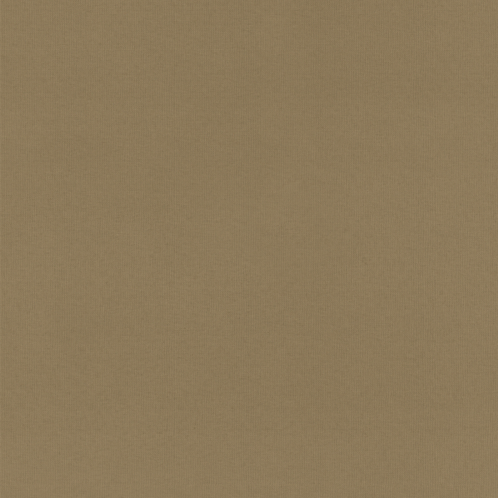 Ray Biscuit Roller Blind Fabric Sample