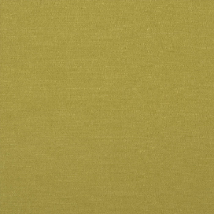 Carrera Lime Fabric by Porter And Stone
