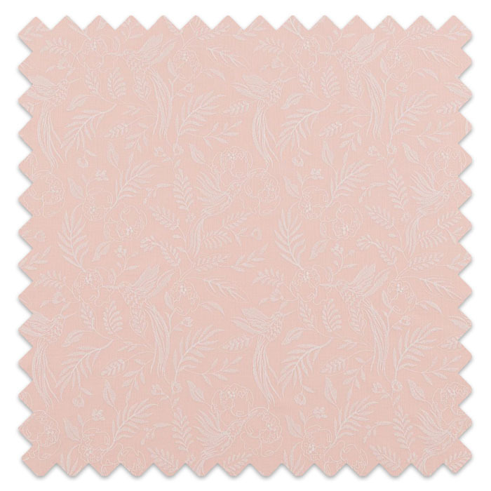 Swatch of Daylily Peach Melba