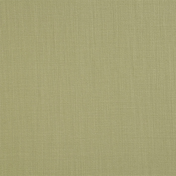 Savanna Pampas Fabric by Porter And Stone