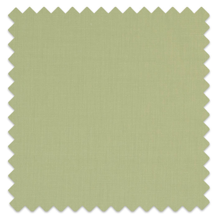 Swatch of Savanna Sage by Porter And Stone