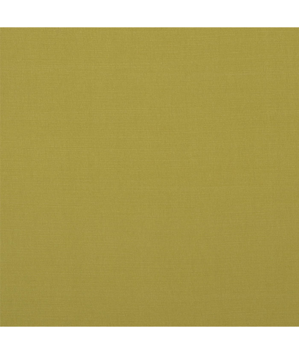 Carrera Lime Fabric by Porter And Stone