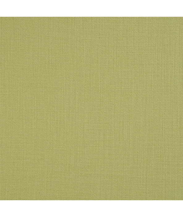 Savanna Apple Fabric by Porter And Stone
