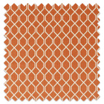 Swatch of Botanical Trellis Papaya Swatch of Botanical Trellis Papaya