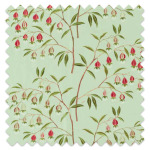 Swatch of Chinese Lantern Mint & Apricot Swatch of Chinese Lantern Mint & Apricot