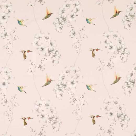 Made To Measure Roman Blinds Amazilla Powder