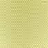 Botanical Trellis Lime Fabric by Sanderson