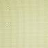Linnean Lime Fabric by Sanderson