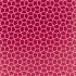 Glyptic Cherry Fabric by Harlequin